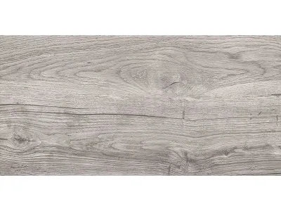IB DAKOTA GRAY 30X60 R9 I  1.44m2 